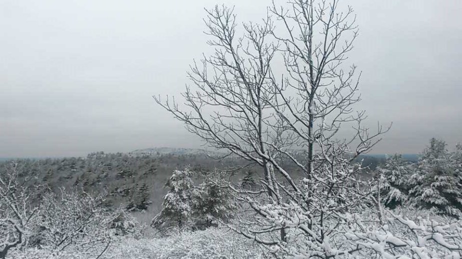 A Winter Hike In The Blue Hills&nbsp;Reservation