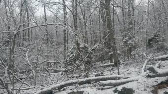 A Winter Hike In The Blue Hills Reservation