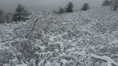 A Winter Hike In The Blue Hills Reservation