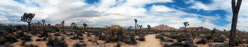 Avoiding A Rainstorm While Hiking Joshua&nbsp;Tree
