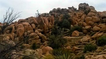 Hiking Joshua Tree