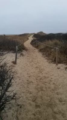 Cedar Tree Neck Sanctuary