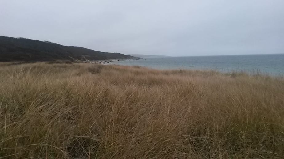 Hiking Cedar Tree Neck&nbsp;Sanctuary