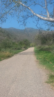 Solstice Canyon Hike