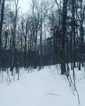 Hike Up Stinson Mountain